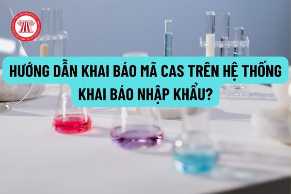 Hướng dẫn khai báo mã CAS trên hệ thống khai báo nhập khẩu? Danh mục hóa chất phải khai báo bao gồm bao nhiêu chất?