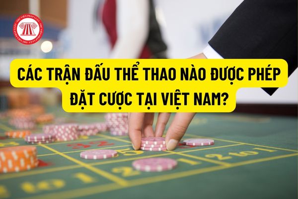 Các trận đấu thể thao nào được phép đặt cược tại Việt Nam? Điều kiện để được tham gia đặt cược thể thao?