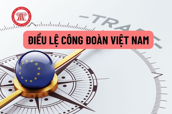 Điều Lệ công đoàn Việt Nam quy định đoàn viên công đoàn Cán bộ công đoàn có những trách nhiệm quyền hạn gì trong tổ chức?