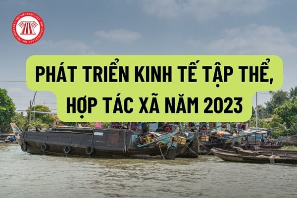 Tập trung xây dựng kế hoạch phát triển kinh tế tập thể, hợp tác xã năm 2023 theo các yêu cầu như thế nào?