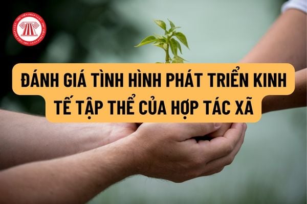 Các tiêu chuẩn đánh giá tình hình phát triển kinh tế tập thể của hợp tác xã, liên hợp tác xã năm 2022?