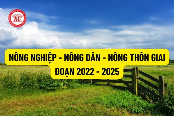 Thời gian và quy mô thực hiện nhiệm vụ cung ứng các dịch vụ phục vụ nông nghiệp - nông dân - nông thôn giai đoạn 2022 - 2025 như thế nào?