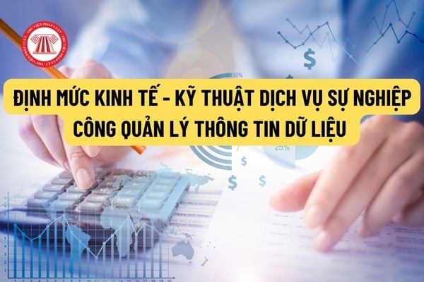 Hướng dẫn áp dụng định mức kinh tế - kỹ thuật dịch vụ sự nghiệp công quản lý thông tin dữ liệu chuyên ngành trong lĩnh vực tiêu chuẩn đo lường chất lượng?