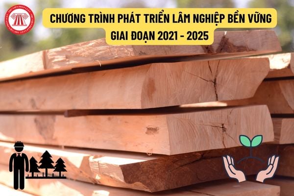 Nội dung ưu tiên phải thực hiện trong chương trình phát triển lâm nghiệp bền vững giai đoạn 2021 - 2025 là gì? 