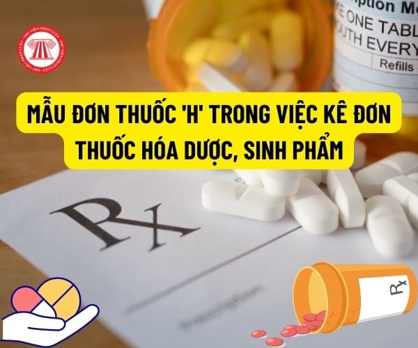 Những loại thuốc nào được kê trên đơn thuốc N?
