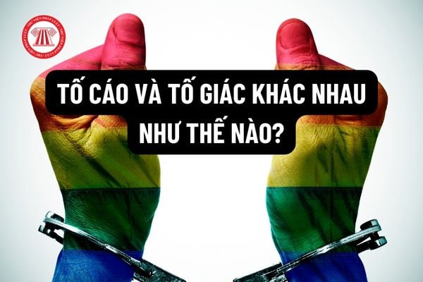 Tố cáo và tố giác khác nhau như thế nào? Có các biện pháp nào bảo vệ người tố giác thực hiện quyền của mình?