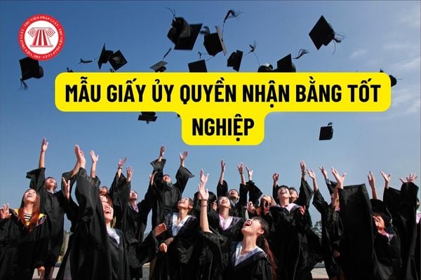 Sinh viên có được ủy quyền cho người khác nhận bằng tốt nghiệp không? Mẫu giấy ủy quyền nhận bằng tốt nghiệp?