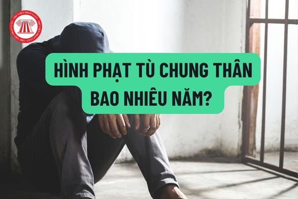 Hình phạt tù chung thân là bao nhiêu năm theo Bộ luật Hình sự năm 2022? Có các chính sách nhân đạo nào giảm án đối với người bị kết án tù chung thân hay không?