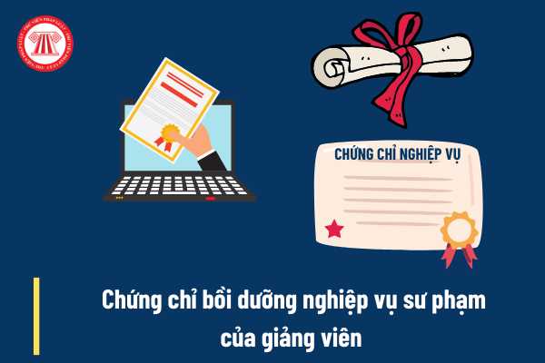 Chứng chỉ bồi dưỡng nghiệp vụ sư phạm của giảng viên 