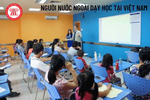 Người nước ngoài dạy học tại Việt Nam