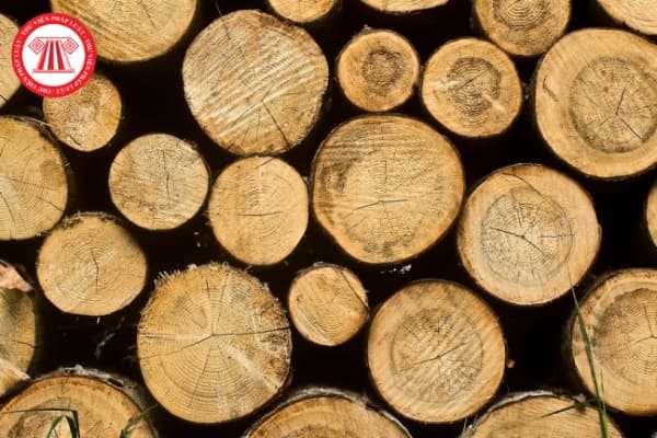 Thủ tục cấp giấy phép nhập khẩu gỗ thuộc danh mục CITES bao gồm những gì?