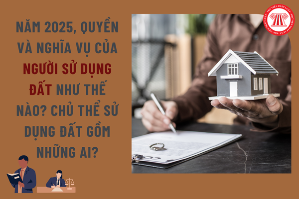 Pháp luật