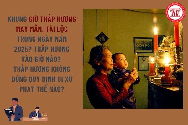 Pháp luật