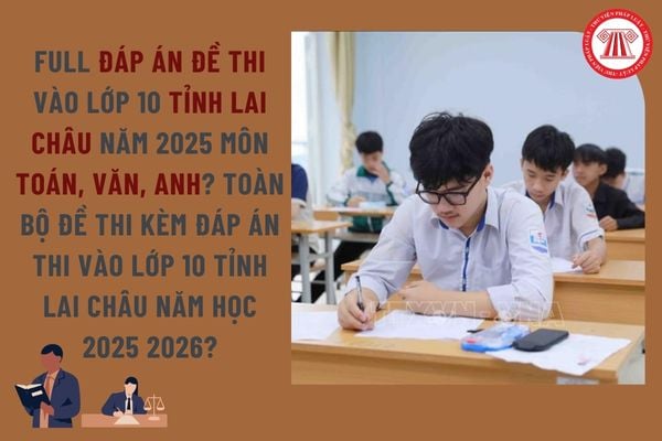 Pháp luật