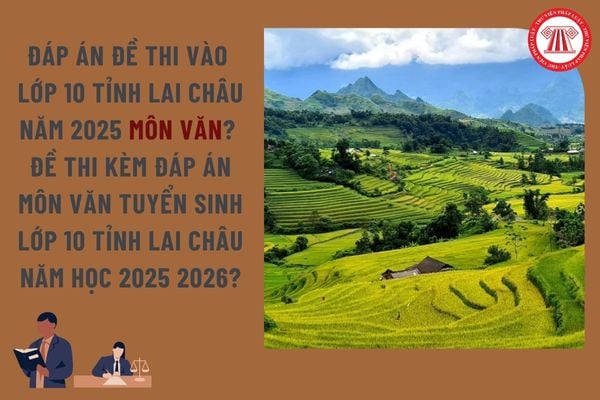 Pháp luật