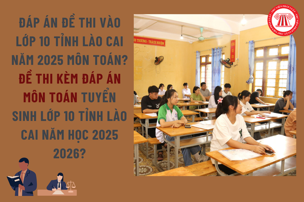 Pháp luật