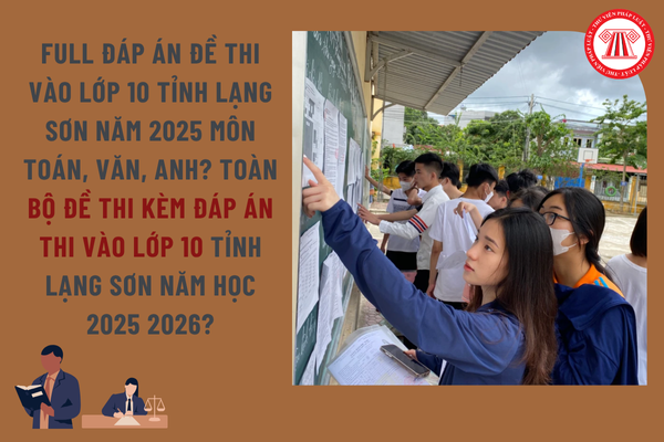 Pháp luật