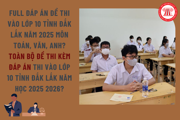 Pháp luật