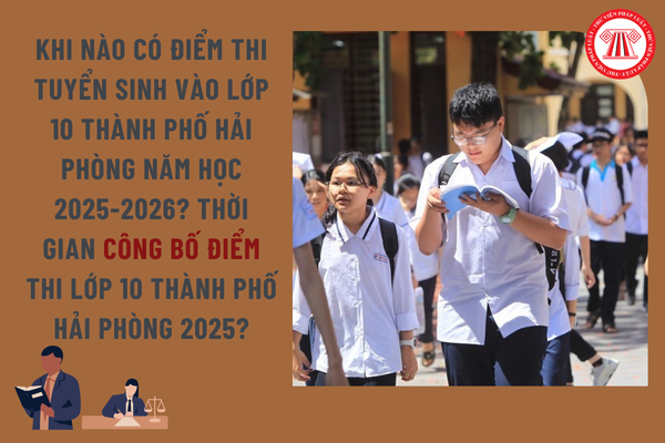 Pháp luật