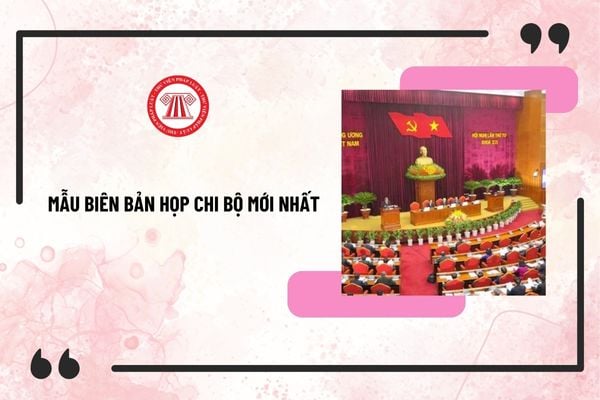 Pháp luật