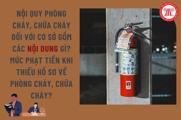 Pháp luật