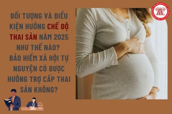 Pháp luật