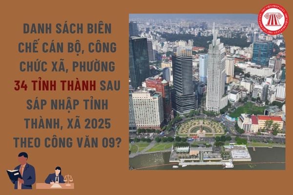Pháp luật