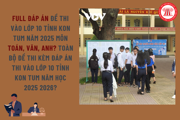 Pháp luật