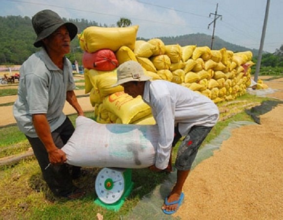 Thông tin chi tiết về lượng gạo thu được từ 1 tấn lúa