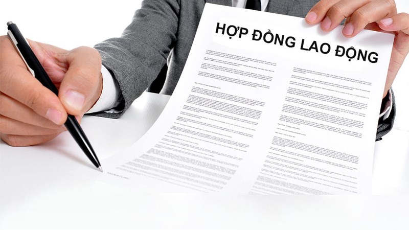 hop dong lao dong 2021