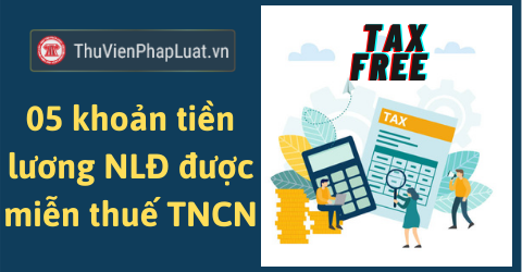 Nhấn vào ảnh để phóng to TNCN