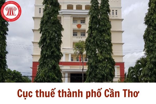 Pháp luật