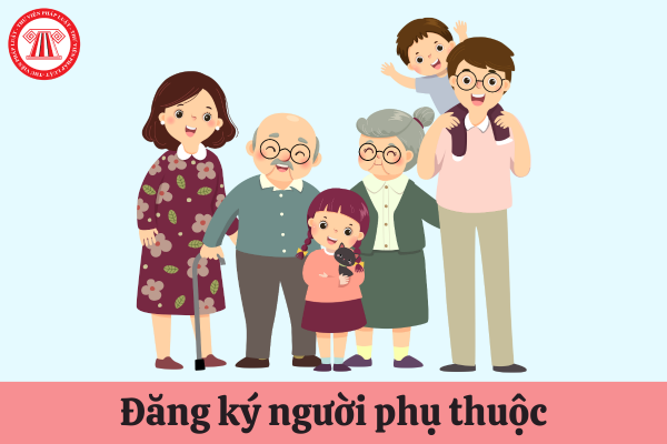 Pháp luật