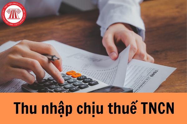 Pháp luật