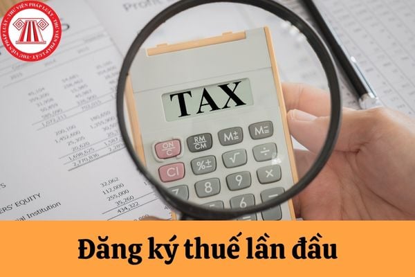 Pháp luật