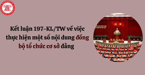 Kết luận 197-KL/TW: Yêu cầu chuyển tổ chức đảng các doanh nghiệp nhà nước về trực thuộc cấp ủy địa phương trong tháng 10