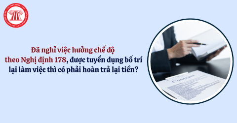 Bài Viết Bản Án