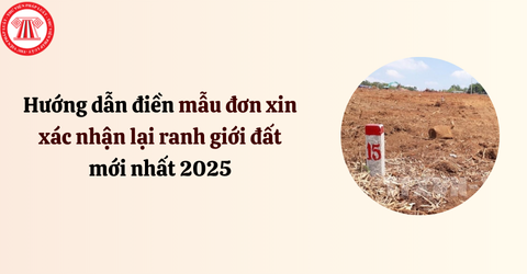 Hướng dẫn điền mẫu đơn xin xác nhận lại ranh giới đất mới nhất 2025