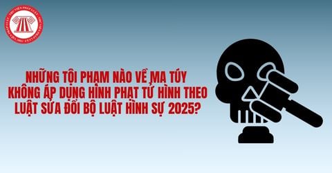 Những tội danh nào về ma túy không áp dụng hình phạt tử hình theo Luật sửa đổi Bộ luật Hình sự 2025?