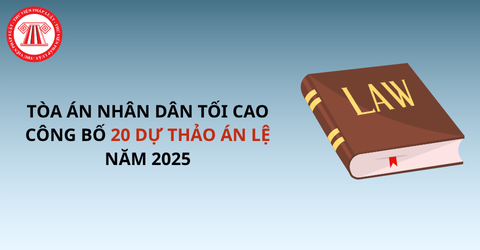 Tòa án nhân dân tối cao công bố 20 dự thảo án lệ năm 2025