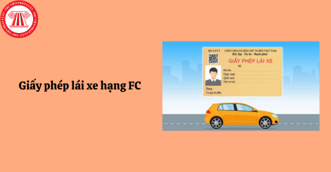 Giấy phép lái xe hạng FC hết hạn thì được cấp lại bằng gì? Giấy phép lái xe gồm có những hạng nào? 