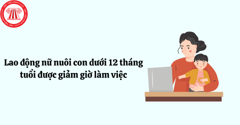 Lao động nữ khi nuôi con dưới 12 tháng tuổi được giảm 1 giờ làm việc mỗi ngày trong trường hợp nào? 