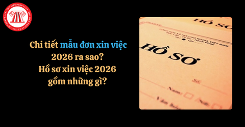 Chi tiết mẫu đơn xin việc 2026 ra sao? Hồ sơ xin việc 2026 gồm những gì? 