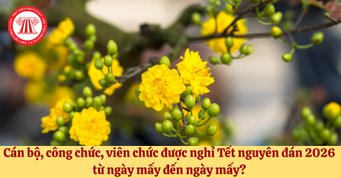 Cán bộ, công chức, viên chức được nghỉ Tết nguyên đán 2026 từ ngày mấy đến ngày mấy? 
