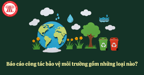 Báo cáo công tác bảo vệ môi trường gồm những loại nào? Báo cáo công tác bảo vệ môi trường gồm những nội dung gì?