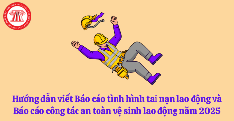 Bài Viết Bản Án