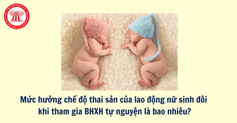 Mức hưởng chế độ thai sản của lao động nữ sinh đôi khi tham gia BHXH tự nguyện là bao nhiêu?