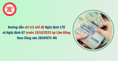 Bài Viết Bản Án