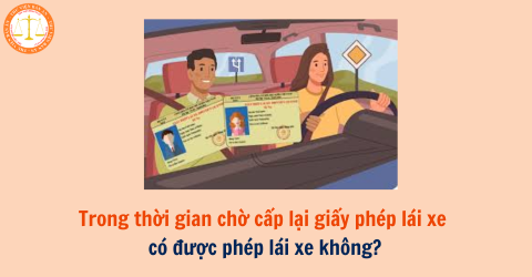 Trong thời gian chờ cấp lại giấy phép lái xe có được phép lái xe không?
