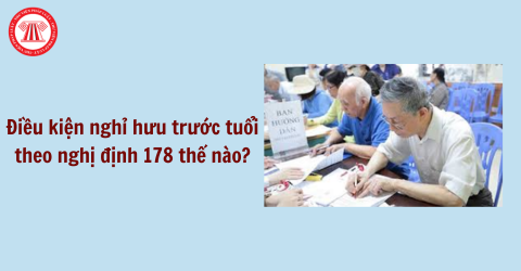 Bài Viết Bản Án